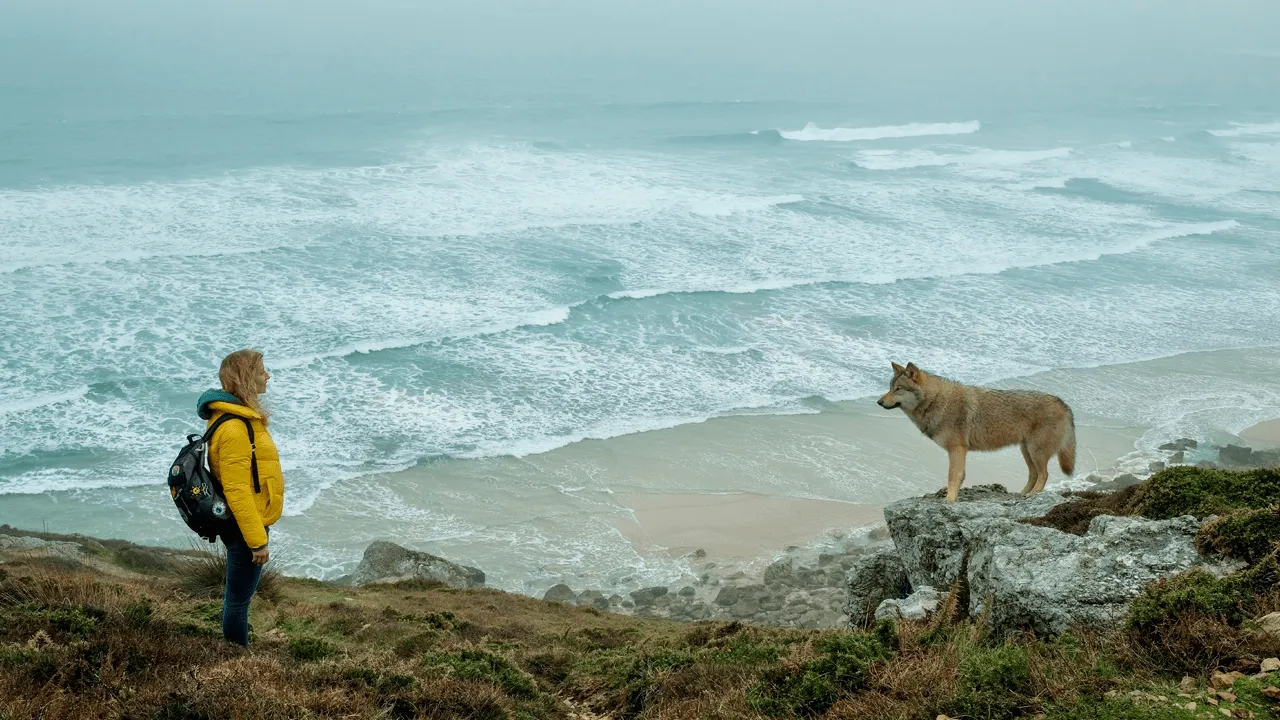 Reseña de El Libro de los Deseos