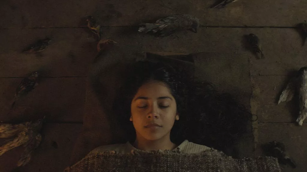 Imagen de la película Brujería