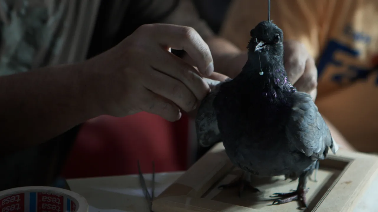 Otra Piel documental crítica