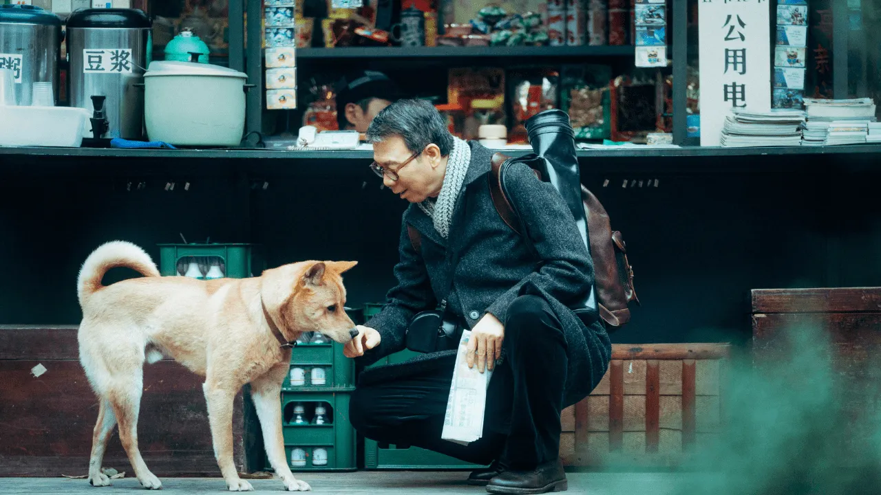 Crítica de Hachiko 2 Siempre a tu lado