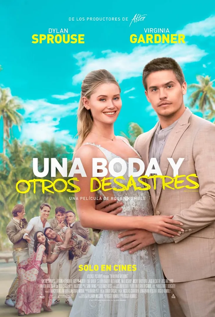 Una Boda y Otros Dessastres Póster Estreno