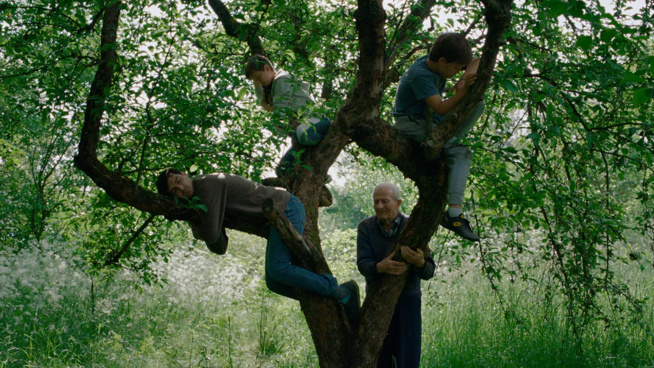 Wind, talk to me, de Stefan Djordjevic. Serbia, Eslovenia, Croacia. 2025. 100'. DCP