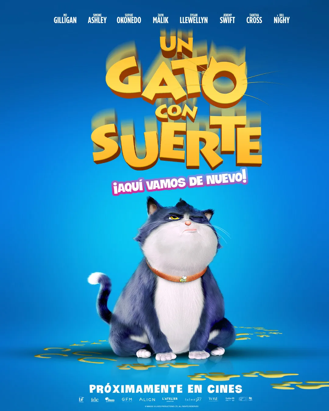 Un gato con suerte poster
