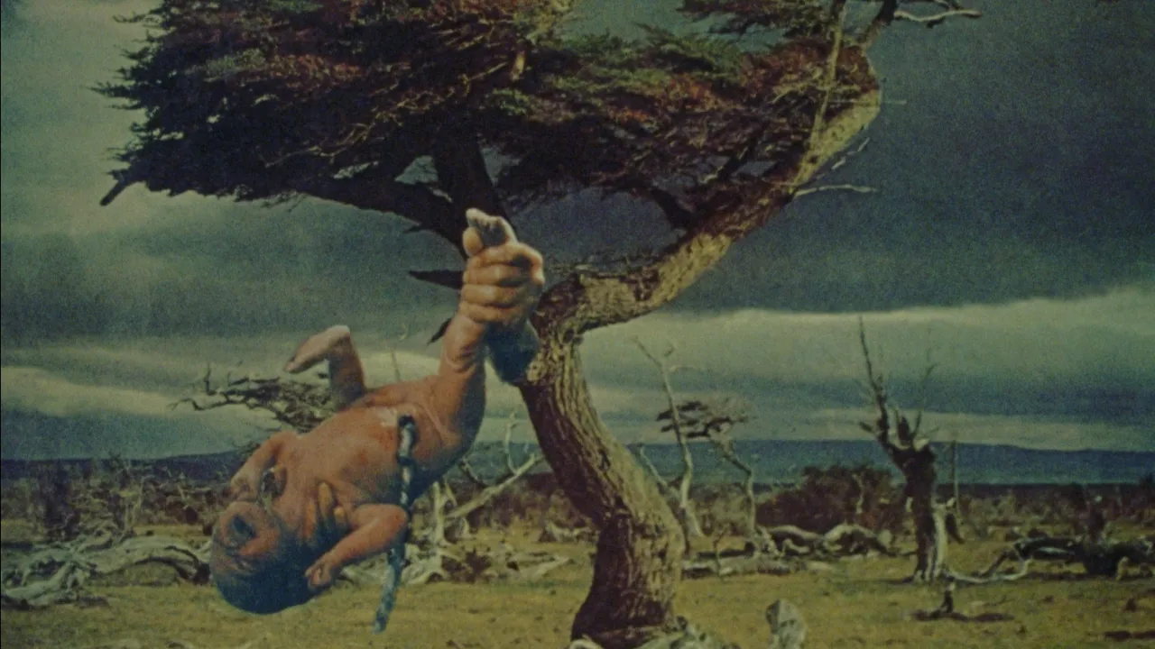 Memoria de un cuerpo desplazado, de Mariana Mendivil. México. 2024. 10'. DCP Memoria de un cuerpo desplazado, de Mariana Mendivil. México. 2024. 10'. DCP