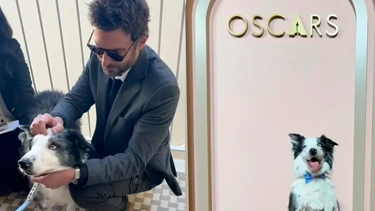 Messi el perro estrella de Anatomía de una caída