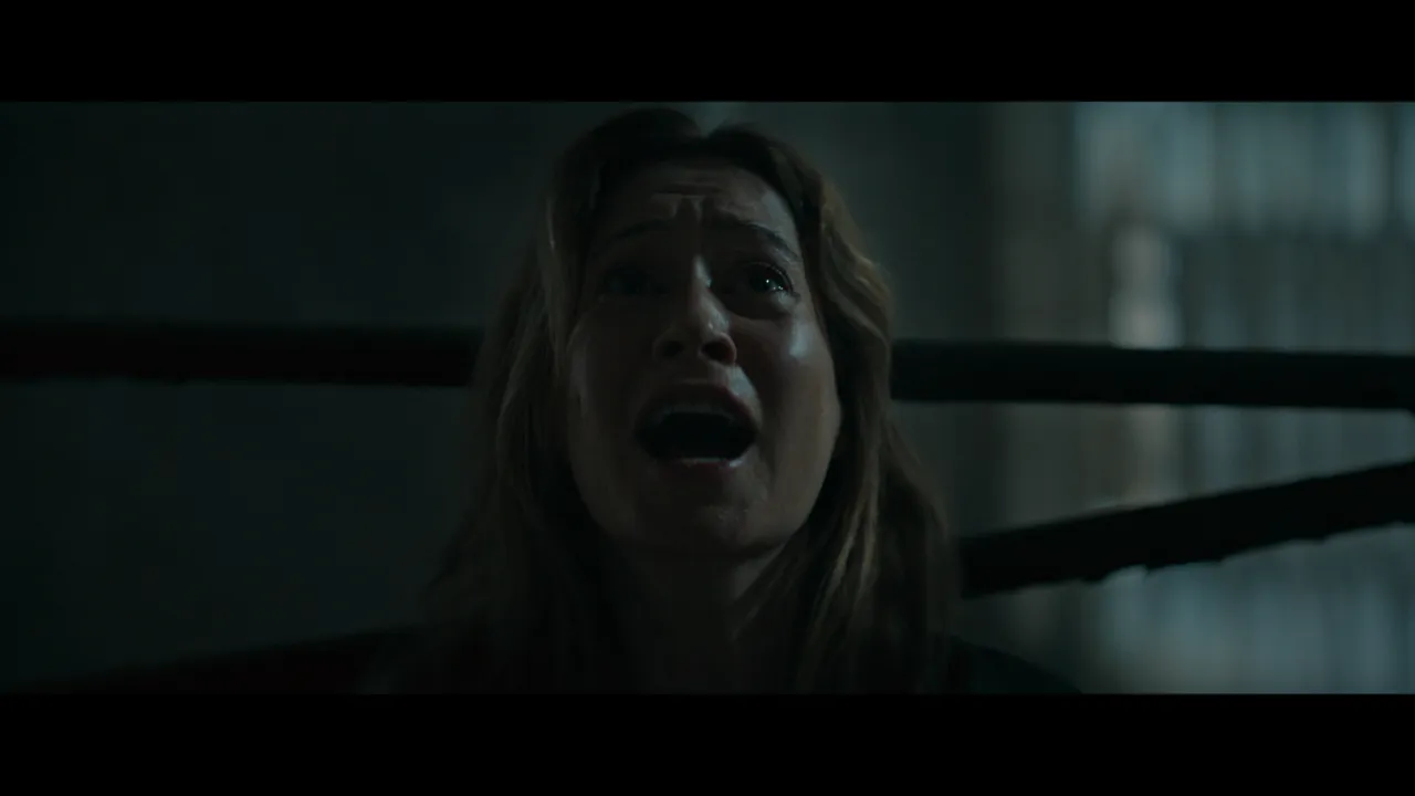 Reseña Terror en Shelby Oaks