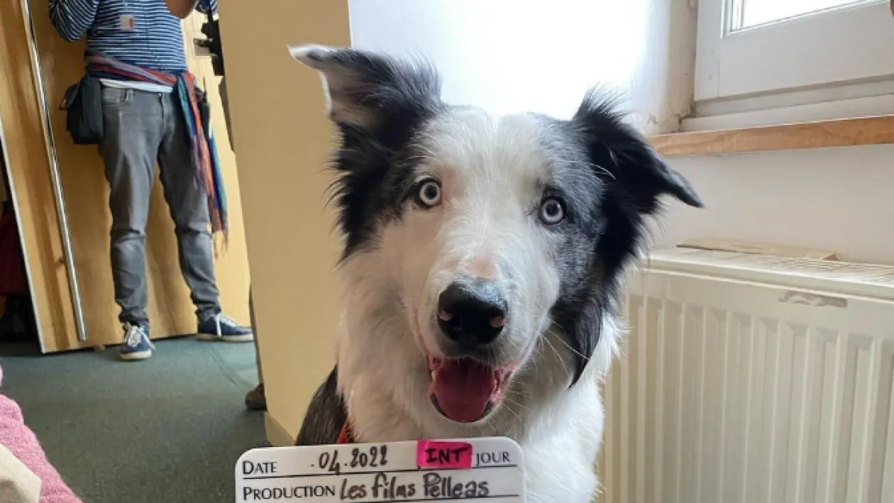 Messi - Anatomía de una caída