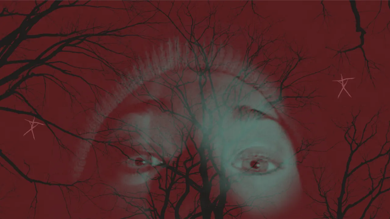 Controversia en la saga la Bruja de Blair