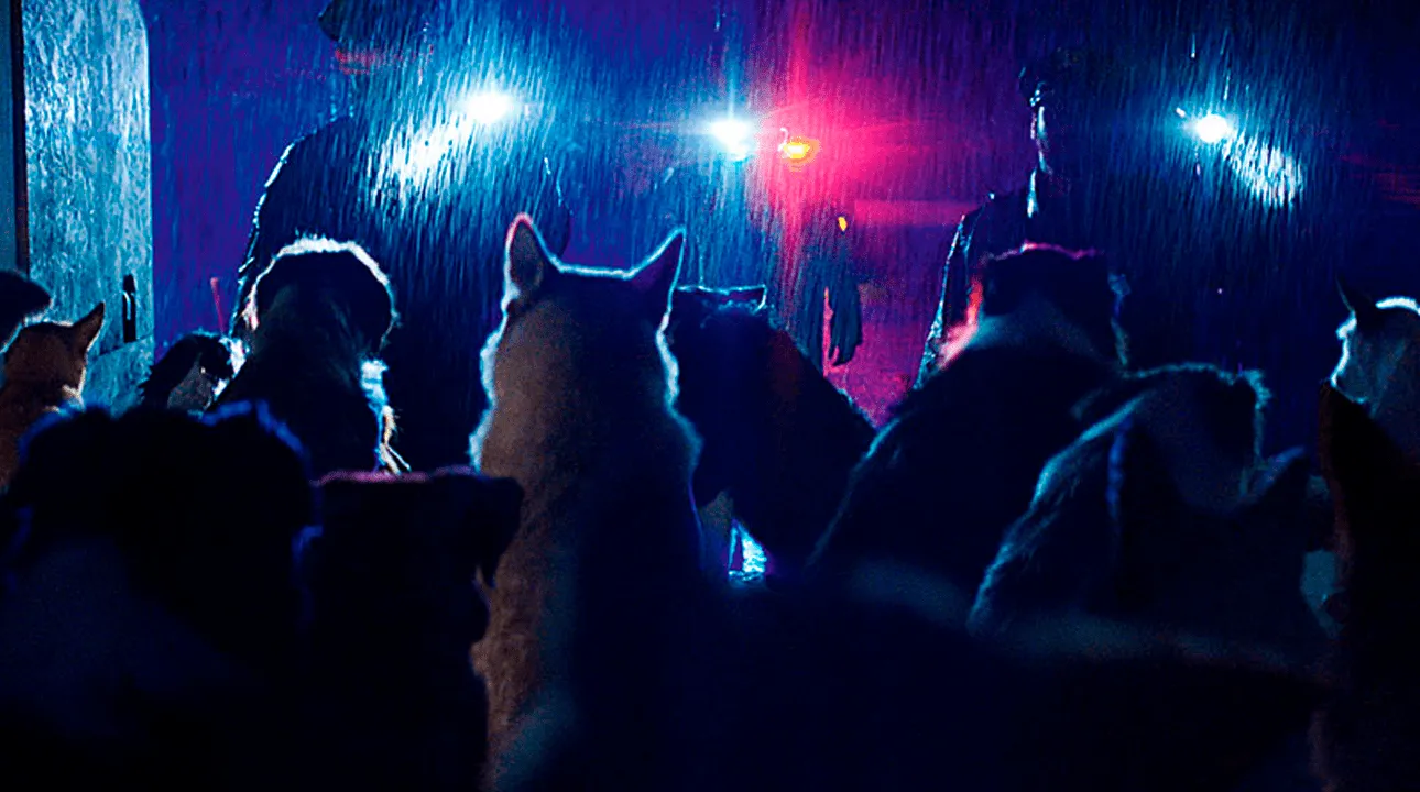 Estreno Dogman en cines