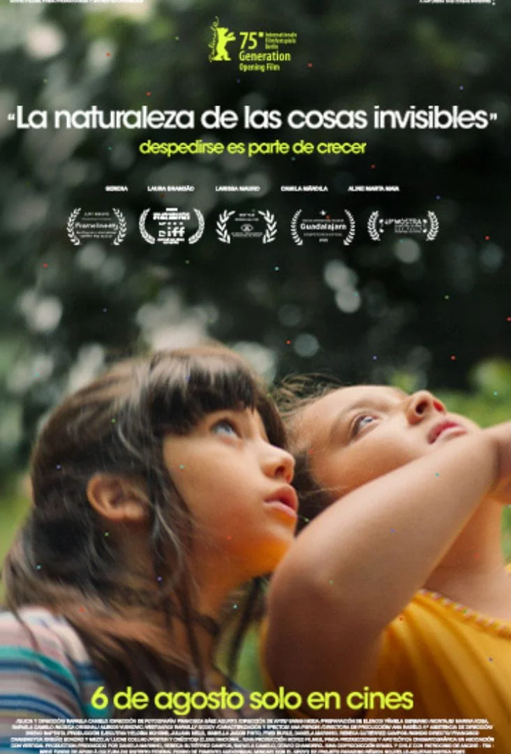 La naturaleza de las cosas invisibles Póster Estreno