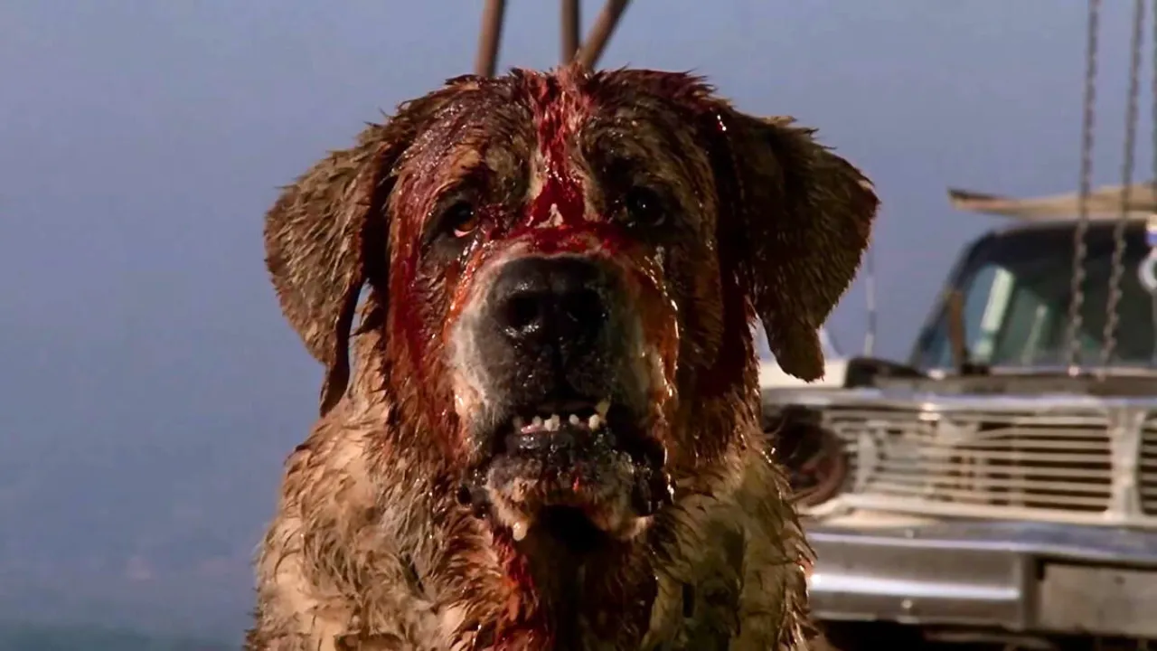 Netflix confirma el reinicio de Cujo de Stephen King