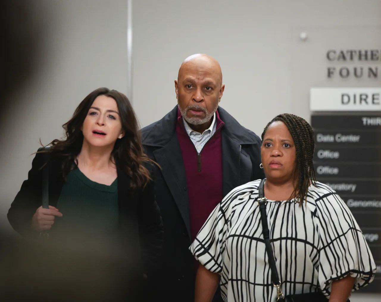 Serie Grey's Anatomy críticas