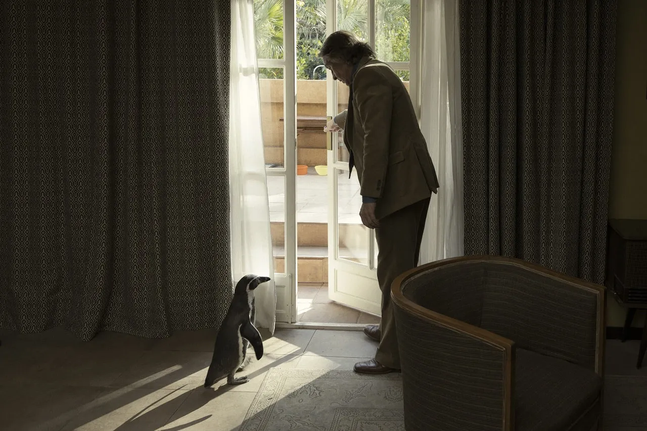 Lecciones de un pingüino pelicula 2025