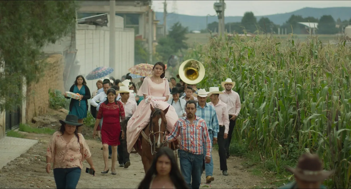 Antofacine película Trigal