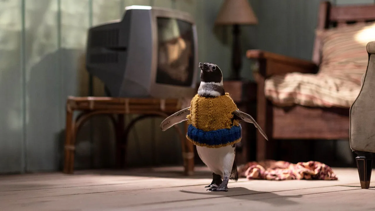 Mi amigo el pinguino Crítica DinDim